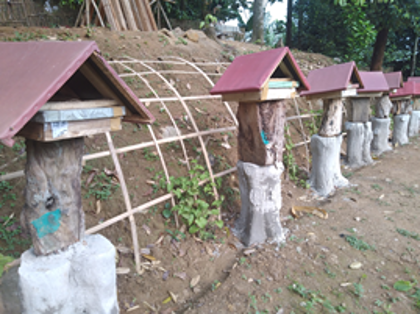 Pengembangan Eduwisata Kampung Madu | CSR JABAR